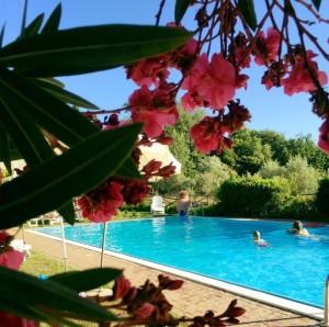 holiday agriturismo in napoli Italy 48